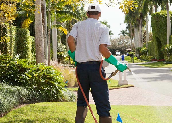 About Pryor MT Pest Control